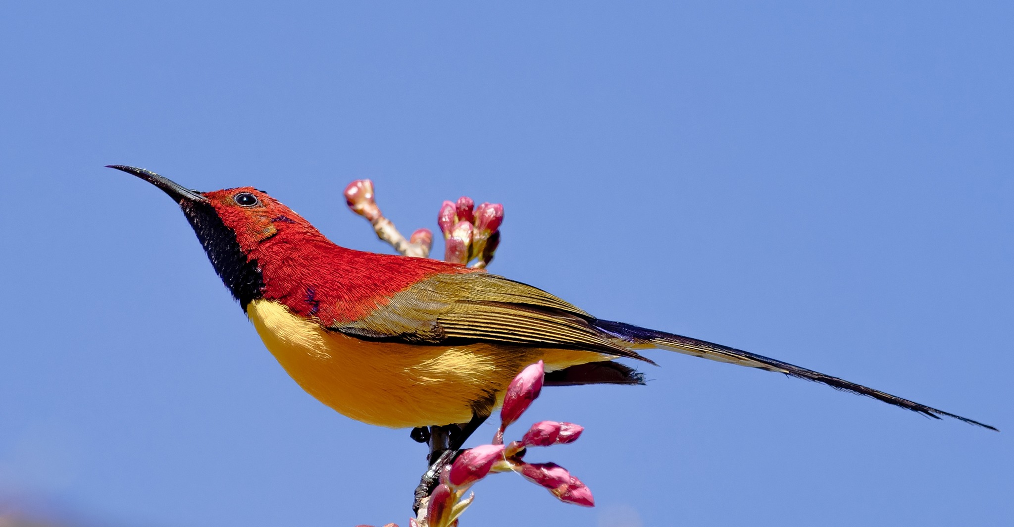 di-cung-thanh-chim-tim-hoang-tu-da-lat